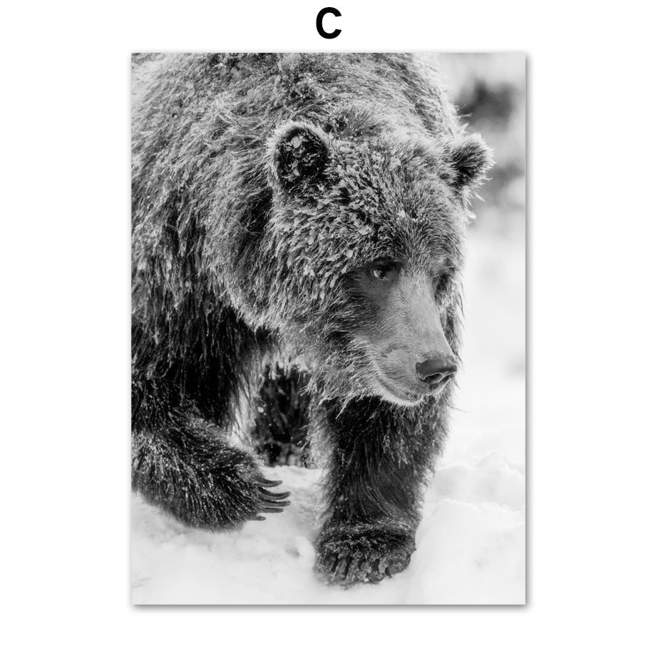 Decorative Painting Canvas Core Framed Frameless Painting