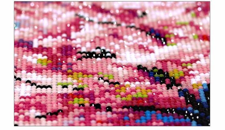 5D Diamond Painting - Ballerina