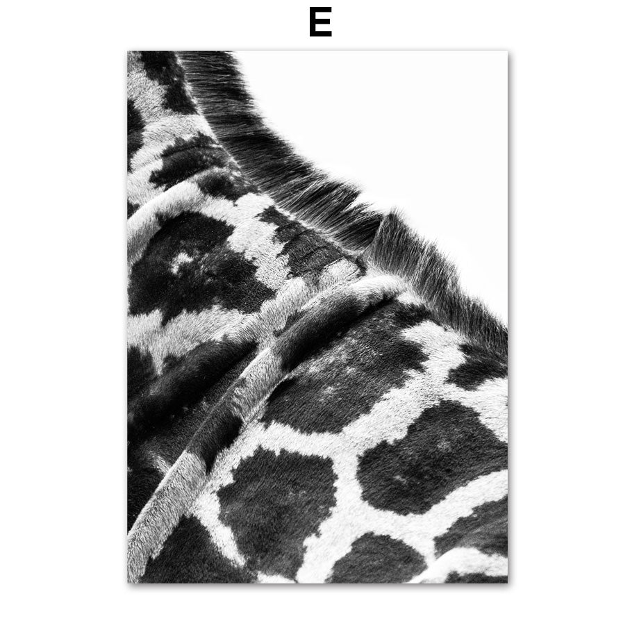 Decorative Painting Canvas Core Framed Frameless Painting