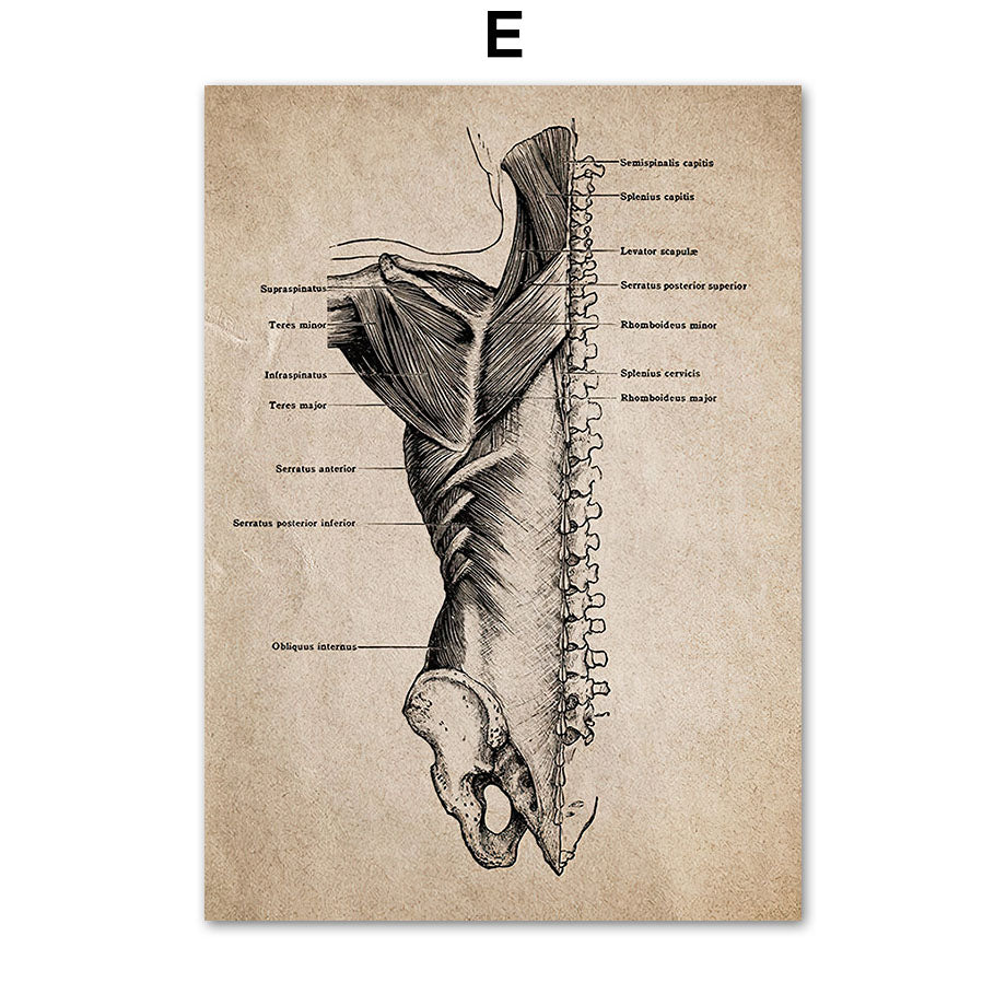 Frameless Painting Nordic High-definition Inkjet Canvas Painting