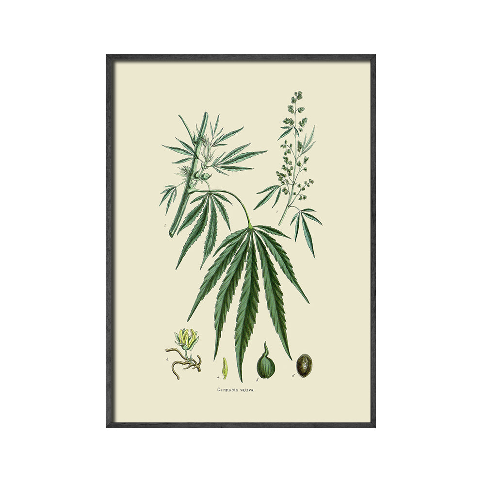 Decorative Painting Canvas Core Framed Unframed Painting