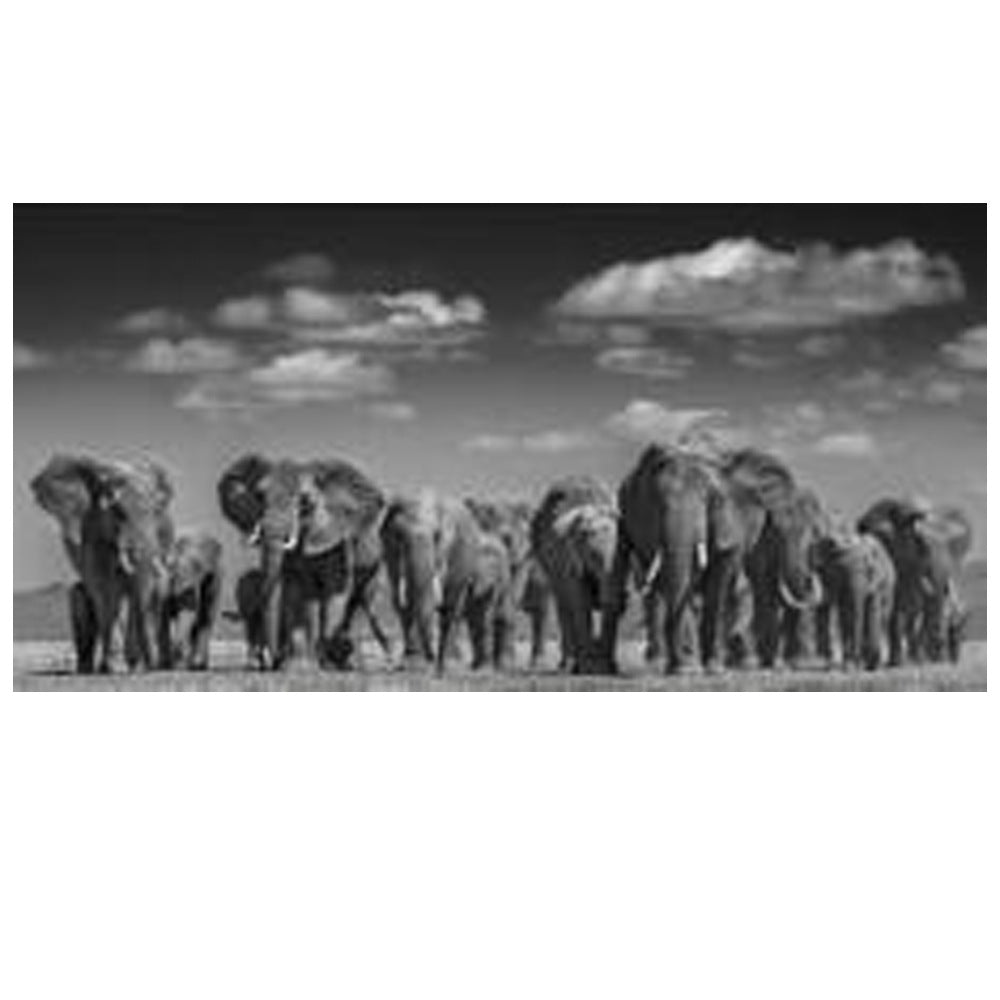African Elephant Family Decorative Painting Animal Poster Frameless Painting Painting Core
