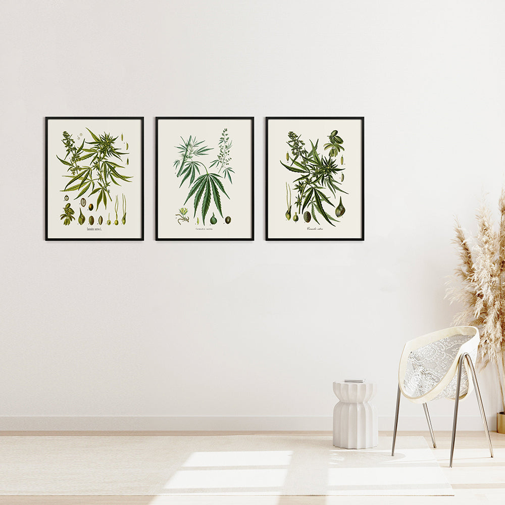 Decorative Painting Canvas Core Framed Unframed Painting